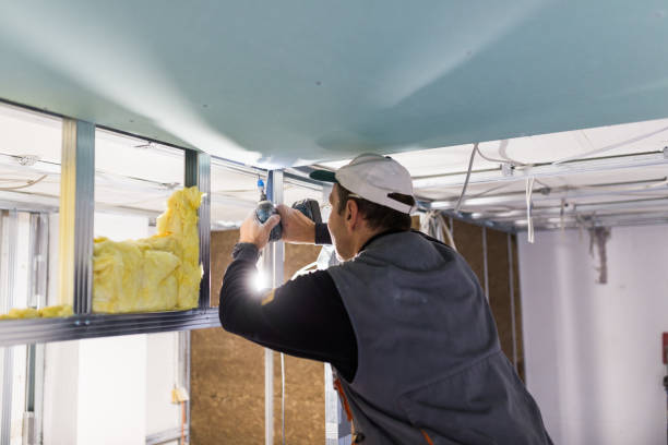 Best Crawl Space Insulation  in Lumberton, TX