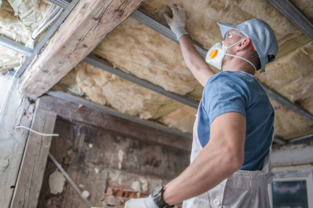 Best Insulation Inspection Services  in Lumberton, TX