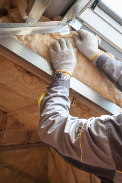 Best Insulation Replacement Services  in Lumberton, TX