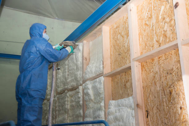 Best Local Insulation Services  in Lumberton, TX