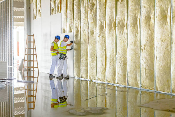 Best Attic Insulation Installation  in Lumberton, TX